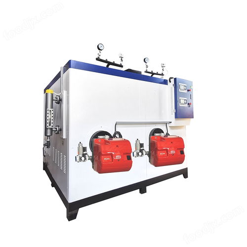 高效節(jié)能的食品發(fā)酵加熱方案 500kg燃?xì)庹羝l(fā)生器與加藥泵的協(xié)同應(yīng)用